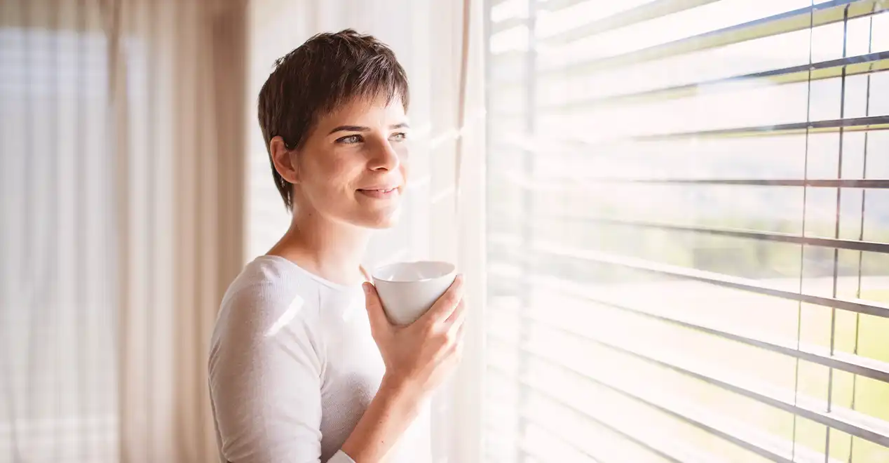 Picture of The Impact of Window Treatments on Energy Efficiency